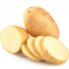 2016 new fresh holland potatoes at cheap price