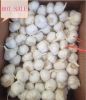 2016 new fresh white garlic at cheap price