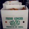 2016 new fresh ginger at cheap price