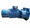 GEARED MOTOR