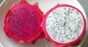 FRESH DRAGON FRUIT FRO...
