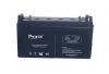 Deep cycle battery NTD 6V 14Ah