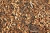 Wood Chips, Firewood, Wood Pellets, Briquettes