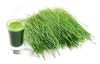 Organic Wheat Grass Po...
