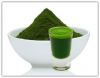 Organic Wheat Grass Po...