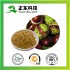 Horse Chestnut Extract...