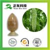 Powder Form Dosage Bit...