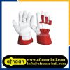 Working Gloves/Safety Gloves