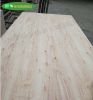 eucalyptus core and eu...
