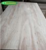 eucalyptus core and eu...