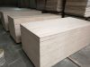 eucalyptus core and eu...