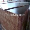 Film faced waterproof plywood for construction