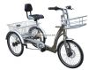 3 Wheel Bike with Motrorized Trike