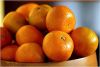 Kinnow Mandarin Oranges