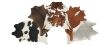 AA Grade Cowhides. Ext...