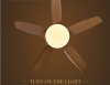 modern ceiling fan with led light