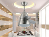 modern style mini ceiling fan with LED light 