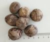 3KGS Pack Brown Dried Smooth Shiitake Mushroom Whole with Cap 3-4CM