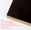 black or brown Film Faced Plywood for construction with logo for sale