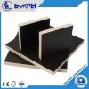 1220*2440*18MM Black/ Brown Poplar Core Film Faced Plywood with Melamine Glue from Direct Manufacture