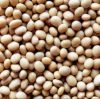 pigeon peas