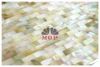 mesh gold sea shell tile wall mosaic