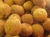 fresh mature coconut for sale 