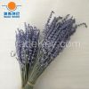 organic dried lavender...