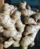 INDONESIA Fresh Ginger