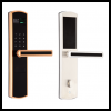 2016 New Stainless steel Biometric Fingerprint door lock with Touch screen and IP65