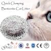 Activated Carbon Cat S...