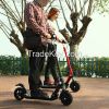 JQ Foldable Lightweight Adult Electric Scooter with Li-Ion Battery, Kic