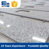 China Pauline Grey Granite Kitchen Countertop