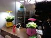 hot sale hydroponic LED Flower Pot green pet