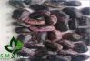 Smart Agro Invest LLC ...