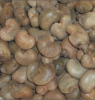 Raw Cashew Nuts | Best Quality Raw Cashew Nuts