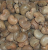 Raw Cashew Nuts | Best...