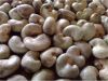 Raw Cashew Nuts | Best...