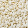 Sesame Seeds | Hulled | White and Brown