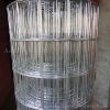 Welded Wire Mesh