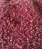 Red Nasik Onions, Non-...