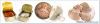 Different types of Fre...