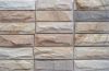 Cultured Stone & Mushroom Stone