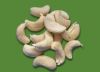 cashew kernel