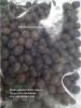 Black Lotus seeds