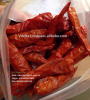 Vietnam Dried Red Chili 