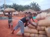 Cashew nuts