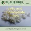 gallic acid
