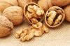 walnut without shell