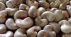 Dry Raw Cashew Nut For...